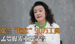 张兰最新爆料录音,豪门恩怨再掀波澜