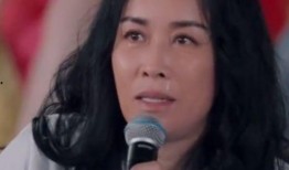 那英被前夫爆料视频大全,揭秘婚姻内幕与情感纠葛