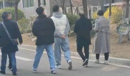 上海网红吃瓜事件,揭秘网络舆论的风暴与真相